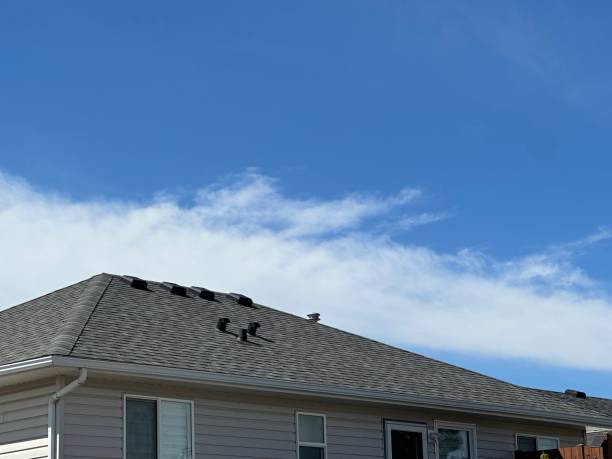 Professional Roof Repair & Installaion in Columbia, MO